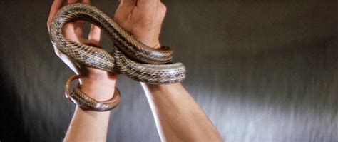 The Psychological Impact of the Snake Woman's Curse